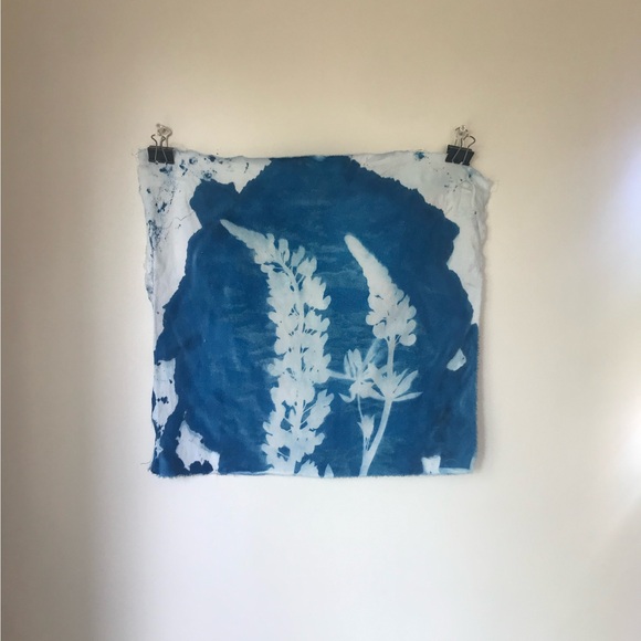 _blue_lupine
